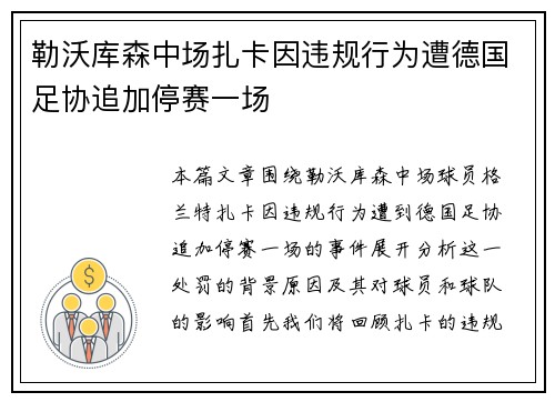 勒沃库森中场扎卡因违规行为遭德国足协追加停赛一场
